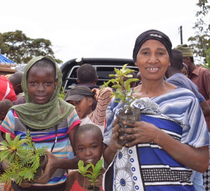 Pack of 100 Tree Kit Cups, We Plant 1000 More Trees