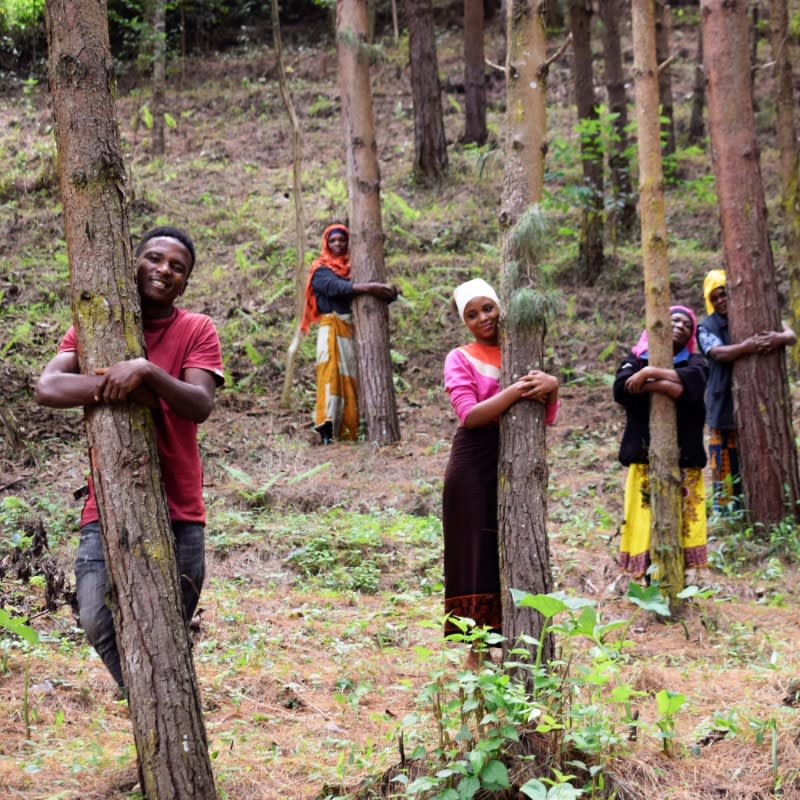 Pack of 10 Tree Kit Pouches, We Plant 100 More Trees