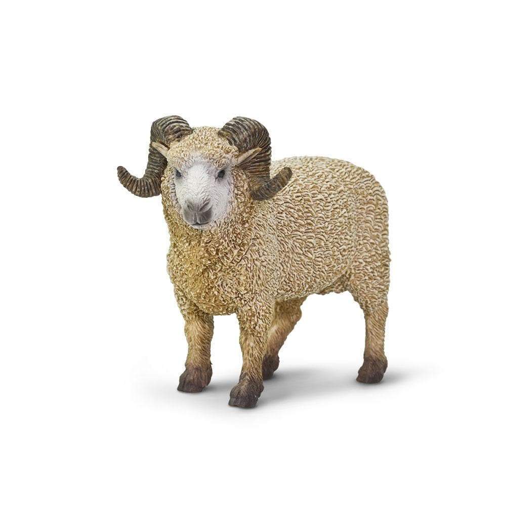 Ram