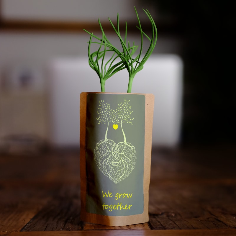 Gift Us a Forest – 200 Trees to Celebrate Our Love – “Roots of Love”