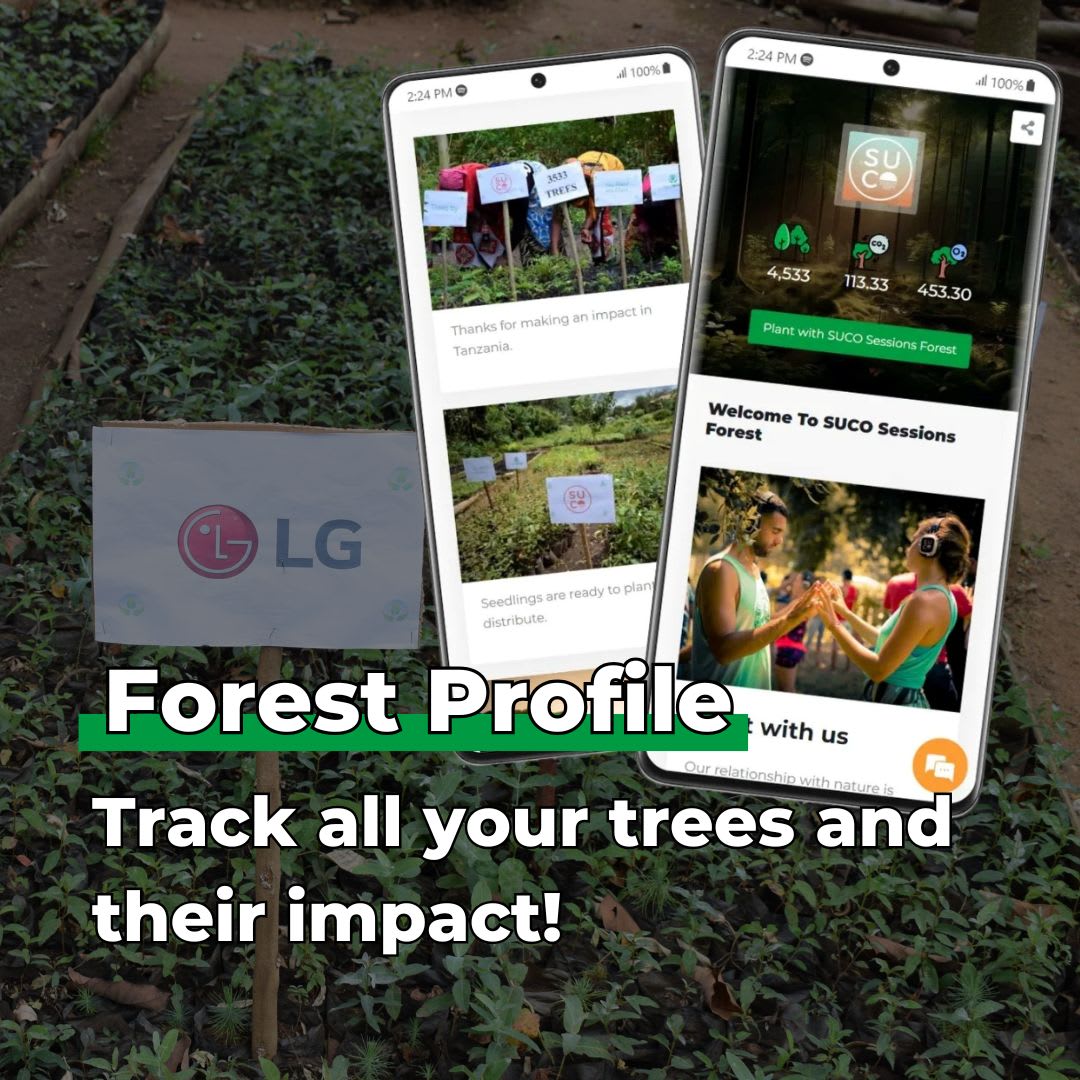 Gift Us a Forest – 200 Trees to Celebrate Our Love – “Roots of Love”