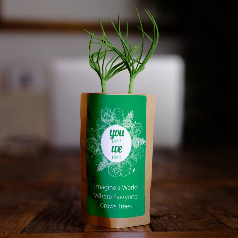 Pack of 10 Tree Kit Pouches, We Plant 100 More Trees
