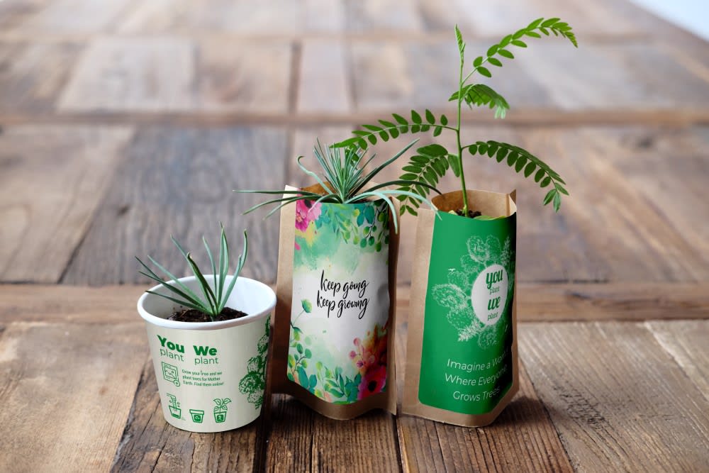 You Plant We Plant Happy Pack, We Plant 30 More Trees - Glow Haven